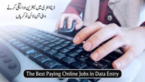 The Best Paying Online Job