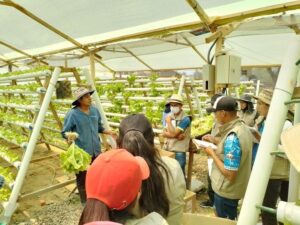 Agricultural & Warehouse Jobs in Italy