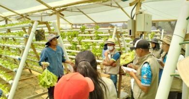 Agricultural & Warehouse Jobs in Italy