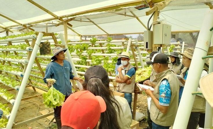 Agricultural & Warehouse Jobs in Italy