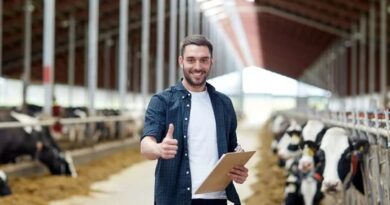 Dairy Farm Assistant in Auckland