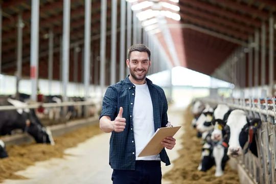 Dairy Farm Assistant in Auckland