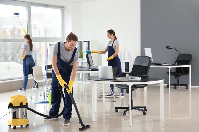 Cleaner Jobs in New Zealand