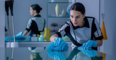 Cleaner Jobs in New Zealand