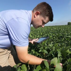 Farm Assistant Worker in New Zealand