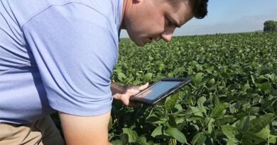Farm Assistant Worker in New Zealand