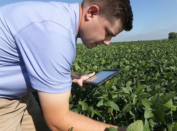 Farm Assistant Worker in New Zealand