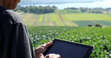 Farm Manager Jobs in Qatar