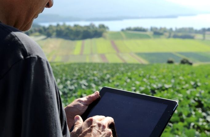 Farm Manager Jobs in Qatar