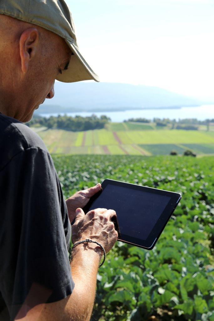 Farm Manager Jobs in Qatar