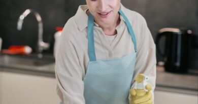 House Cleaner Jobs in Poland