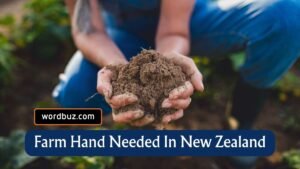 Farm Hand Jobs in Matamata, New Zealand