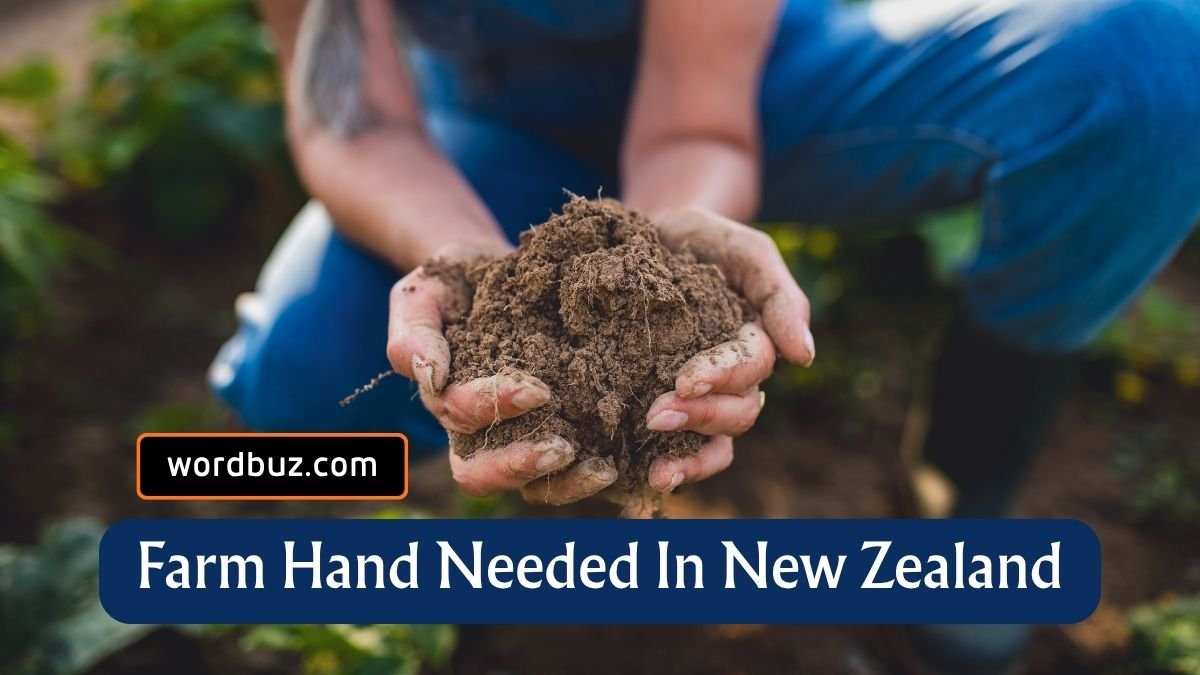 Farm Hand Jobs in Matamata, New Zealand